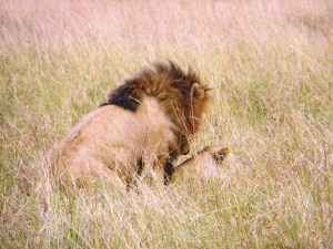 ???????????????????????????????