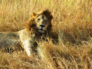 ???????????????????????????????