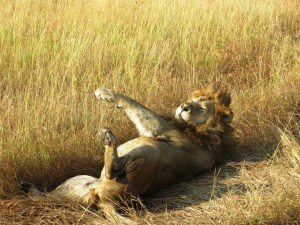 ???????????????????????????????