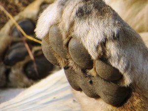 ???????????????????????????????