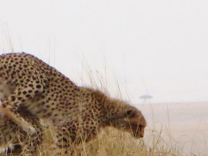 ???????????????????????????????