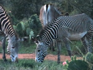 ???????????????????????????????