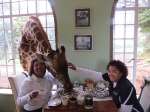 Giraffes at the Breakfast Table