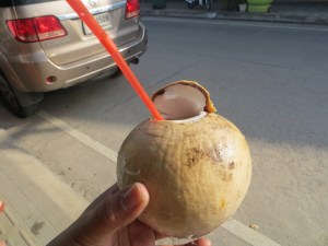 IMG_9675 - Copy - Copy