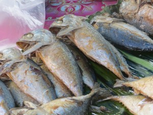 IMG_9688 - Copy - Copy